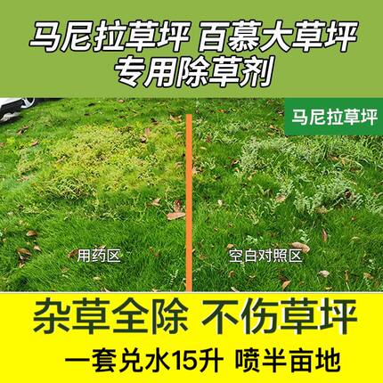 马尼拉百慕大草坪除草剂除尖叶宽叶杂草水花生牛筋草马齿苋马唐