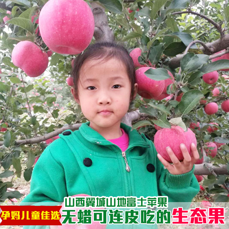 山西翼城山地富士苹果一级苹果10斤 不打蜡 绿色