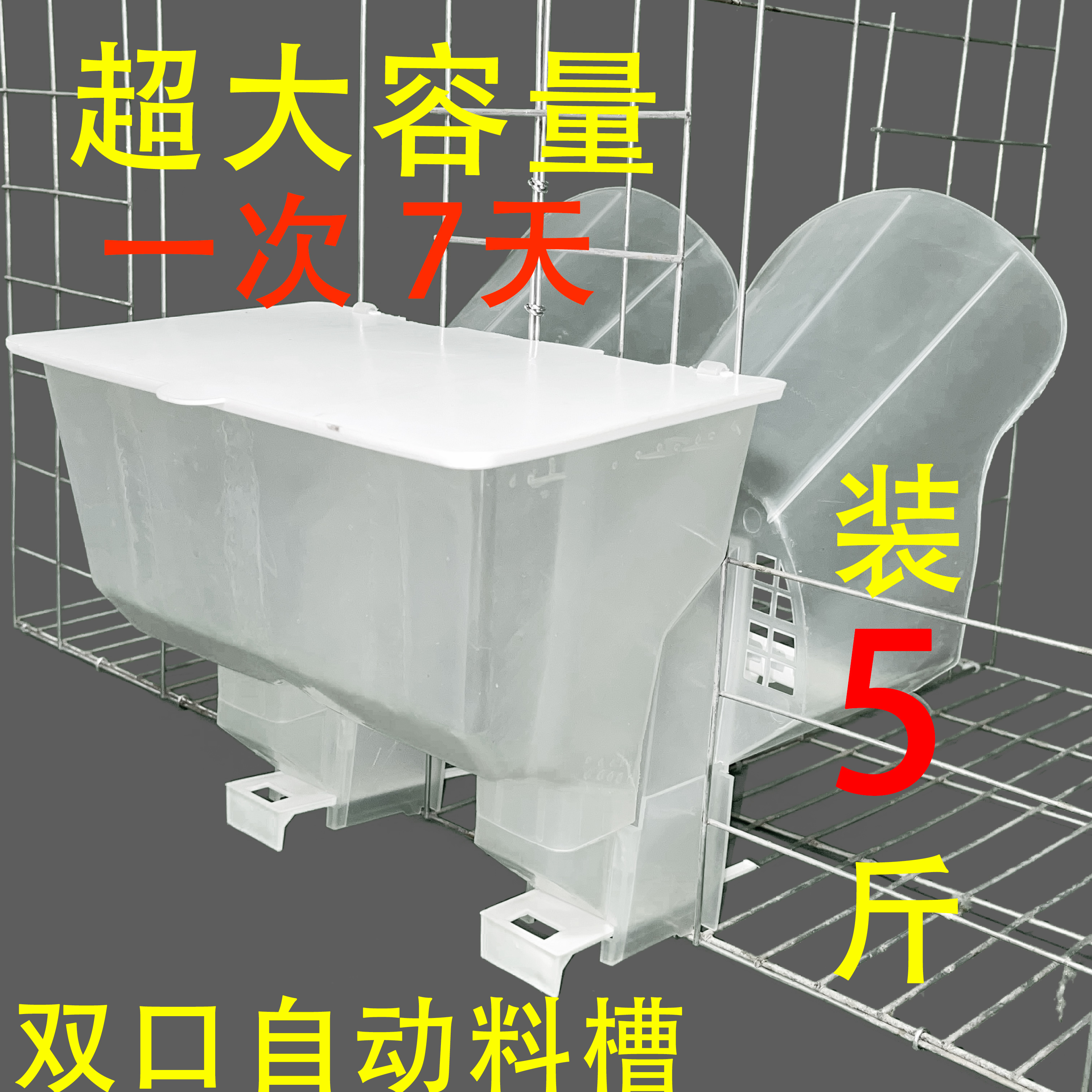 肉鸽鸽子新款双口自动塑料料盒食槽防撒不堵透明结实加大容量加厚