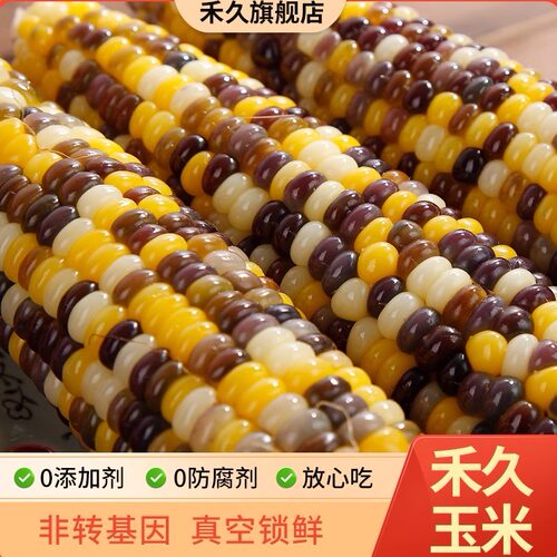禾久甜粘花糯玉米真空包装