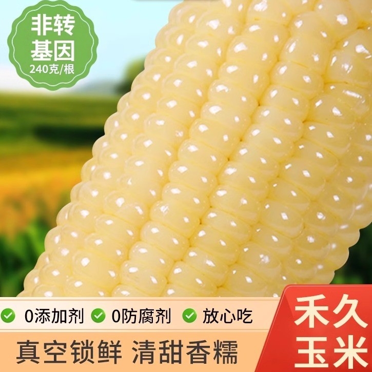 禾久甜糯玉米鲜食粘糯玉米棒粒