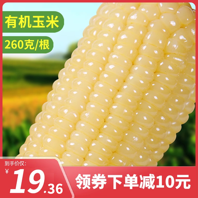 【有机】禾久甜糯玉米鲜食粘糯非东北玉米棒粒非转基因真空袋装