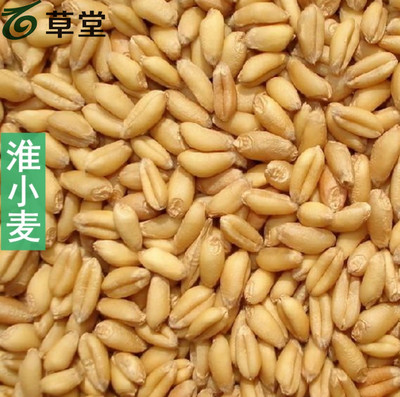 淮小麦中药材两斤包邮
