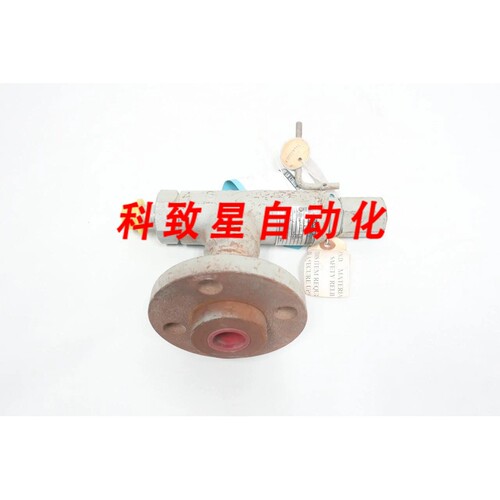 工业配件1975C/XDA1 钢制泄压阀407LBS/HR 110PSI 1/2IN