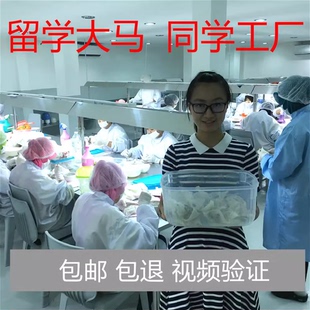 马来西亚大燕条正品燕窝孕妇滋补品雨季金丝燕20克干挑白燕