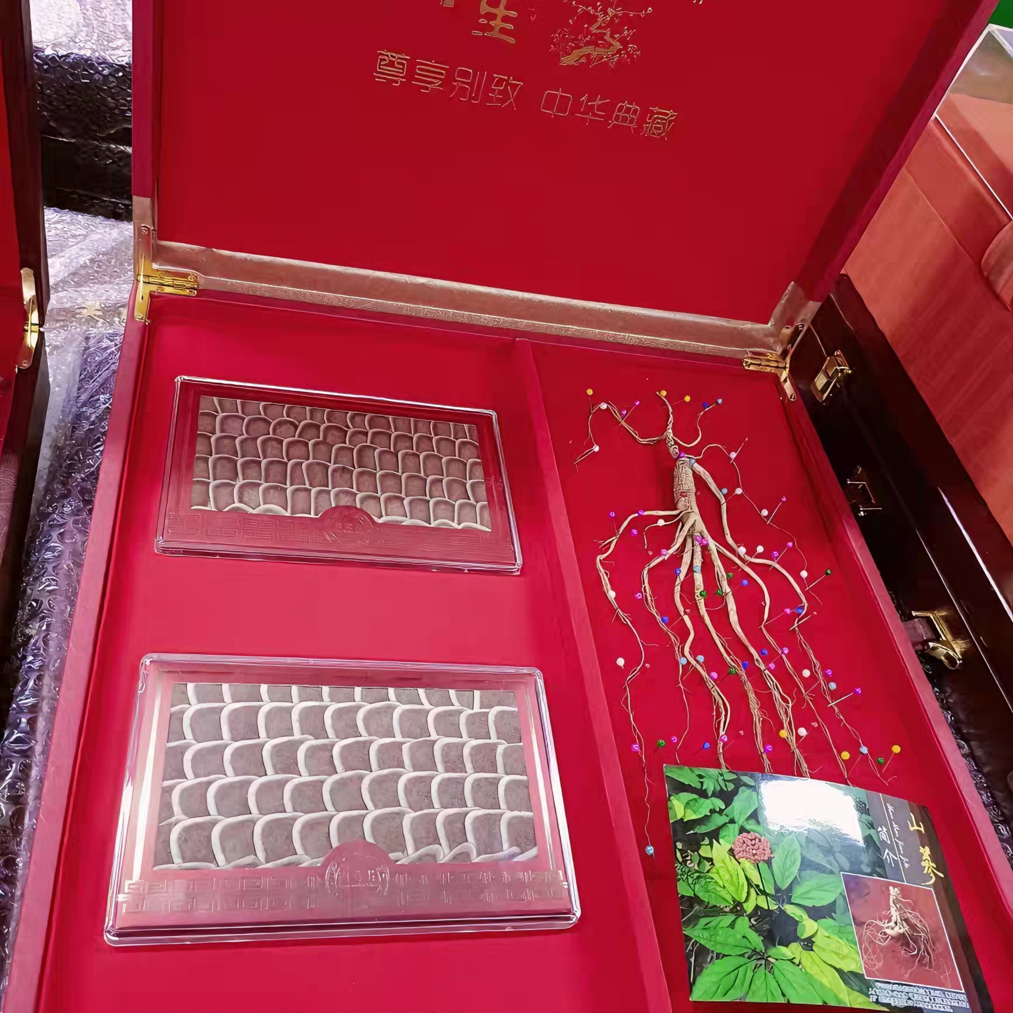 长白山人参鹿茸片礼盒 吉林双阳梅花鹿滋补泡酒煲汤送礼佳品