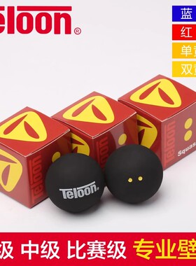 天龙/Teloon专业比赛壁球初学训练壁球蓝点红点双黄点壁球
