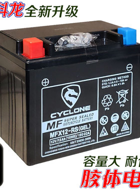 宗申赛科龙原厂蓄电池RX1S RG3 RT3 RA401 RE560 RC250胶体干电瓶