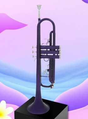 SLADE雷德小号降B调黄铜管体精致高颜值声音悦耳动听个性优雅紫色