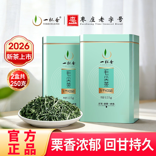 2026新茶一杯香毛尖信阳绿茶250g