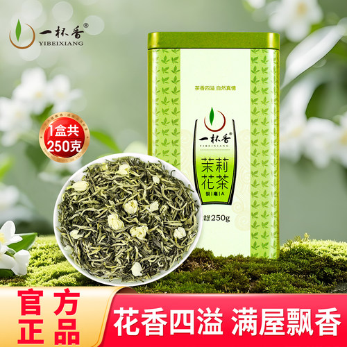 新茶一杯香横县特级茉莉花茶