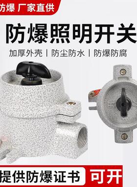 新款防爆照明开关SW-10铝合金防尘防水按钮控制防爆开关10A 2包邮