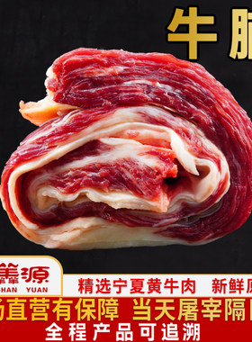 宁羴源宁夏黄牛肉新鲜