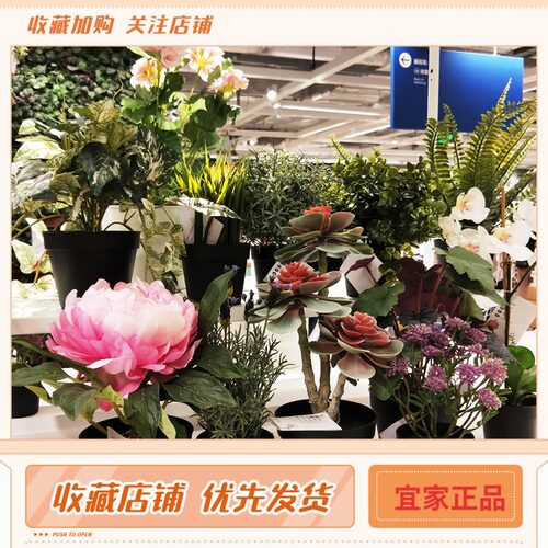 IKEA 菲卡人造盆栽植物装饰仿真花草造型摆件 宜家国内代购