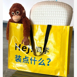 IKEA宜家显眼包积分周边编织储物袋购物环保袋收纳袋搬运袋搬家袋