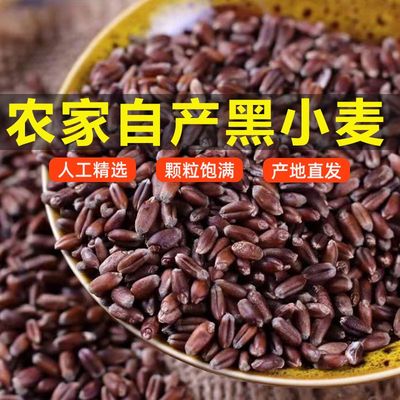 黑小麦粒带皮食用农家黑麦粒杂粮