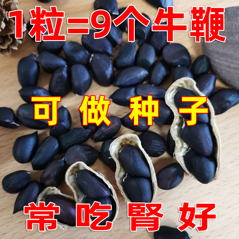 農產品云南黑花生高產堅果