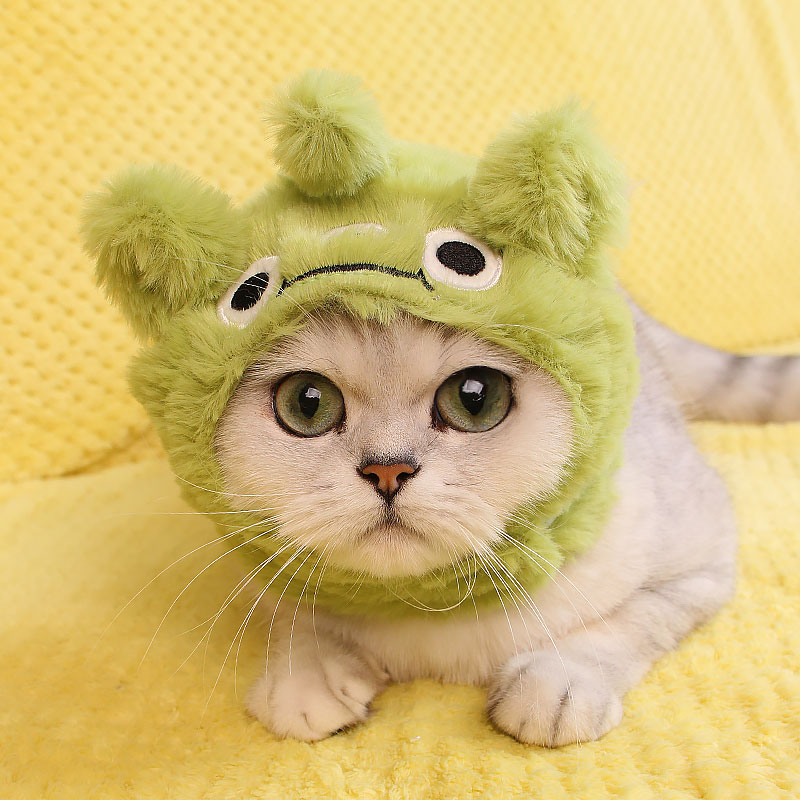 宠物毛绒帽子冬季保暖头套