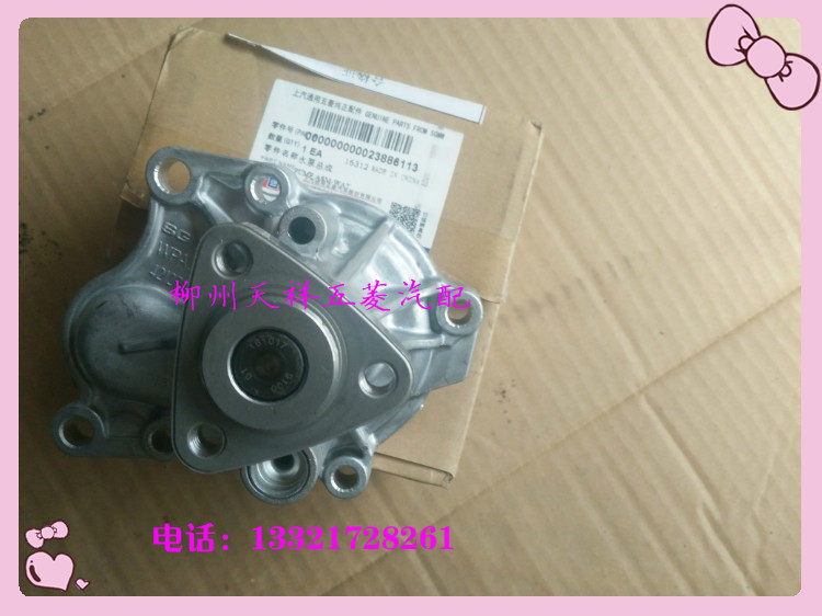 原厂宝骏310发动机水泵/宏光S/之光SV荣光货车水泵/抽水泵 包邮