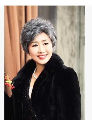 Perruque OTHER   cheveux courts - Ref 2609320 Image 1