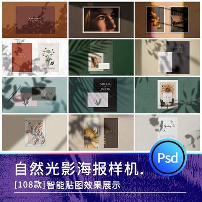 文艺植物自然光影阴影投影阳光极简便签卡片VI贴图样机psd素材