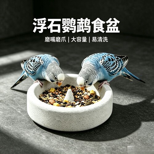 鹦鹉浮石喂食器防溅防翻磨爪嘴