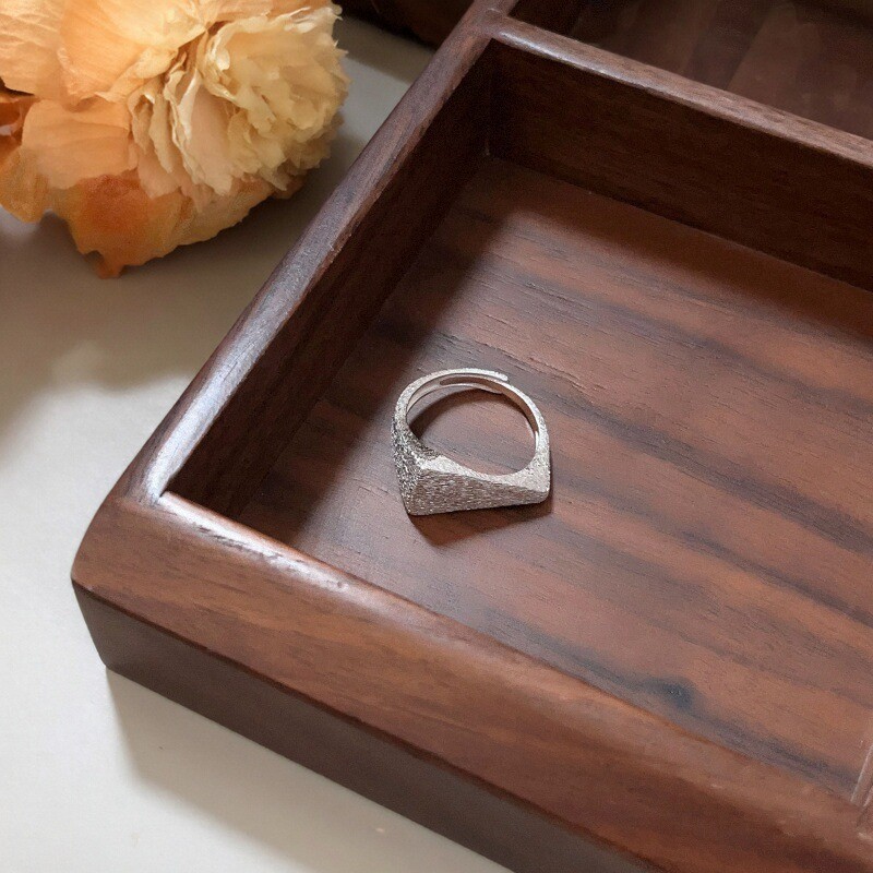 S925拉丝纯银戒指女小众百搭