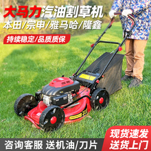汽油割草机本田雅马哈动力四冲程修剪草坪机自走式大功率果园除草
