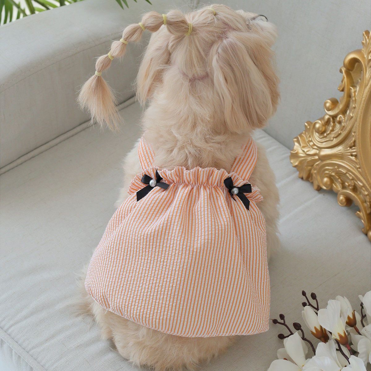 宠物狗狗条纹珍珠背带裙猫狗服饰四季穿着休闲风穿搭服装衣服狗狗