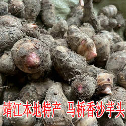 2026年靖江土特产精品 靖江香沙芋头红芽农家美食 散装送礼佳品