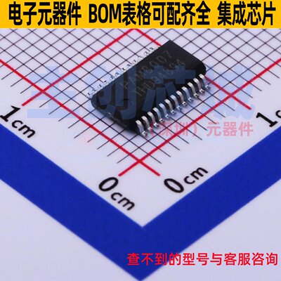 音频功率放大器 PAM8007NHR SSOP-24 DIODES(美台) 电子元件配单