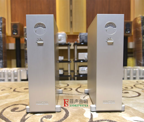 瑞士Nagra/南瓜后级单声道220V