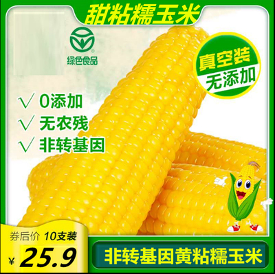 新鲜现摘山西忻州黄糯玉米