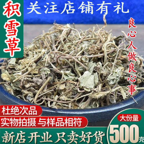 新鲜雷公根崩大碗积雪草中药材