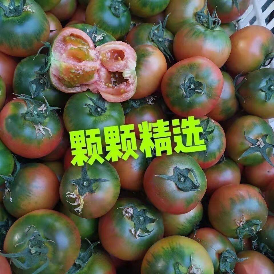 丹东碱地西红柿铁皮柿子番茄草莓柿子碱地绿腚油柿子灯笼果柿子孕