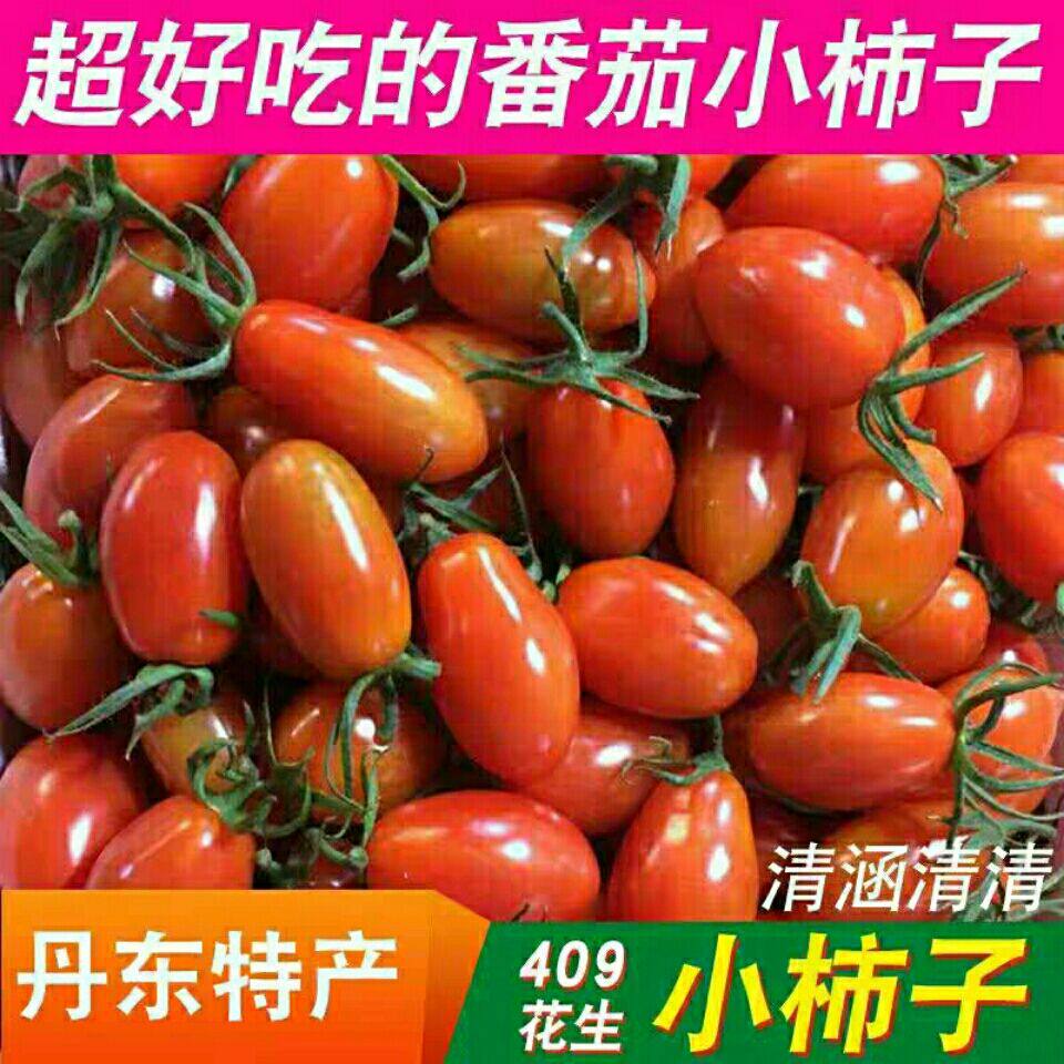 丹东409小柿子新鲜水果食用农产品草莓牛奶圣女果小满5斤包邮顺丰