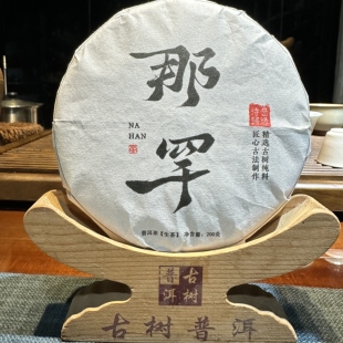 【那罕古树头春】长在石缝里的茶树兰香岩韵醇厚顺滑耐泡花香浓郁