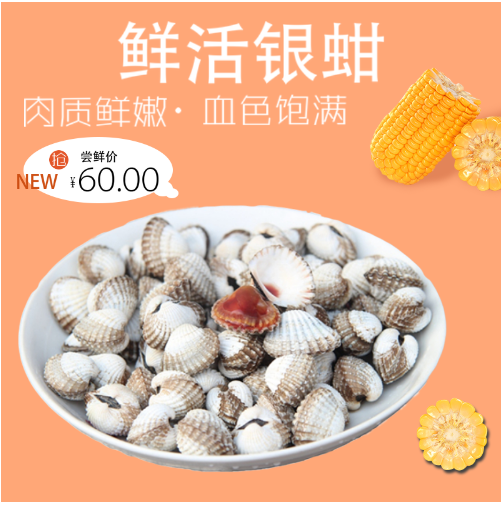 新鲜血蛤 血蚶赤贝1000克装 泥蚶贝类制品水产 海鲜鲜活宁波特产