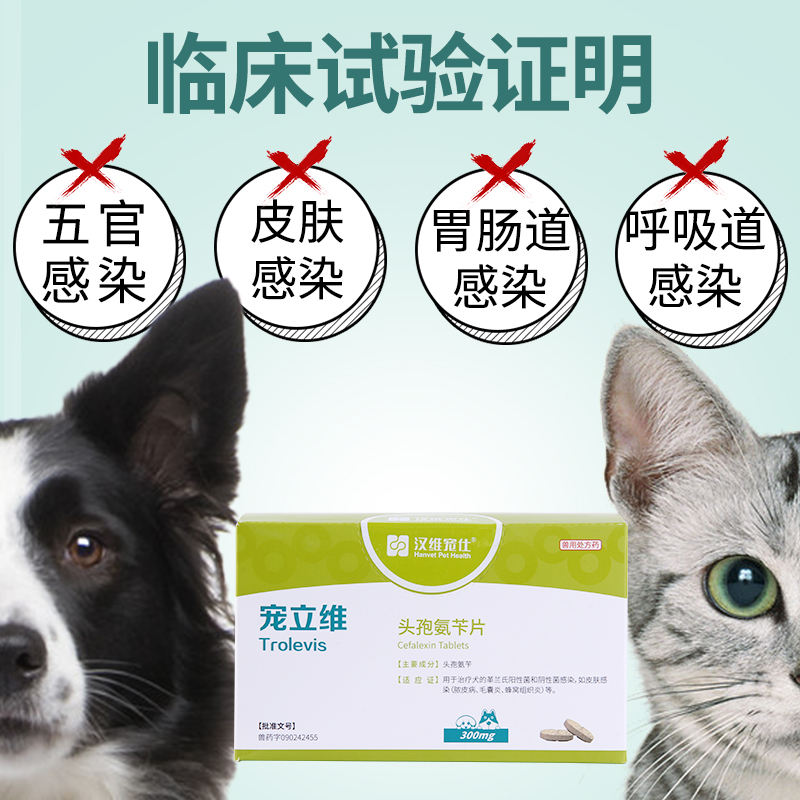 。汉维宠立维头孢氨苄猫狗泌尿感染皮肤病脓皮症感冒肠炎