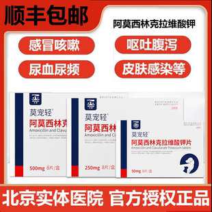 美国进口阿莫西林克拉维酸钾犬猫感冒打喷嚏咳嗽宠物消炎药猫鼻支
