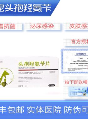 合宠头孢羟氨苄头孢氨苄犬猫狗宠物皮肤病脓皮症湿疹感冒咳嗽腹泻