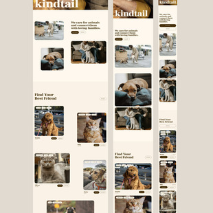 8页非营利性动物收容所网站UI设计figma源文件