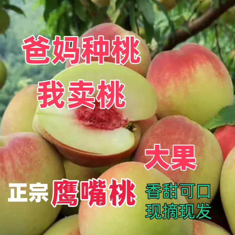 新鲜现摘连平脆甜鹰嘴桃5斤包邮