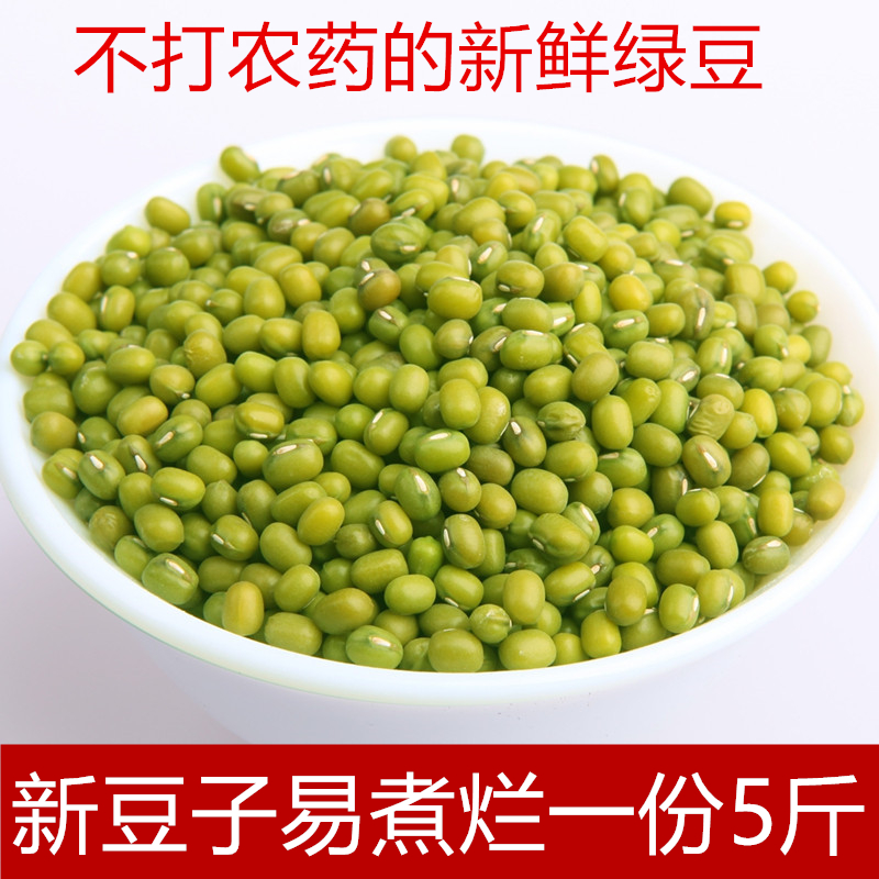 新鲜绿豆2500g包邮农家自种发芽绿豆笨绿豆 五谷杂粮种子绿豆汤粥
