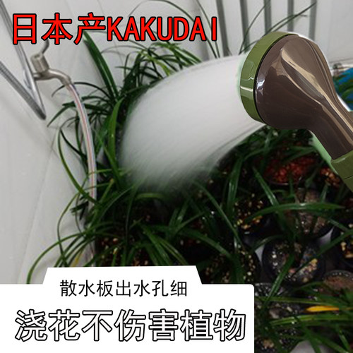 兰花日本进口专用绿植园艺浇水