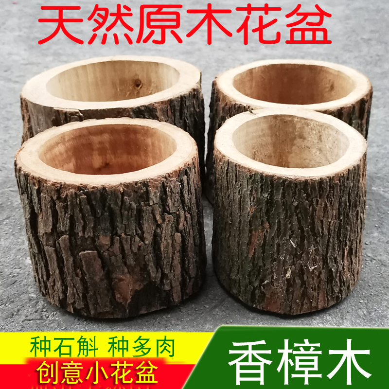 香樟木花盆原木原生态创意木桩多花盆