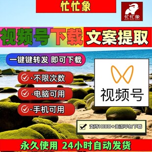 忙忙象视频号下载工具B站小红书网页软件能看就能下载无限次数mp4