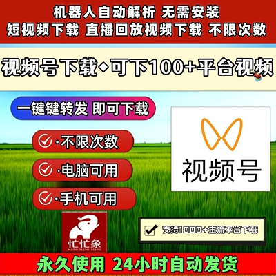 视频号下载工具1对1服务mac系统不限时间公众号视频哔哩哔哩mp4