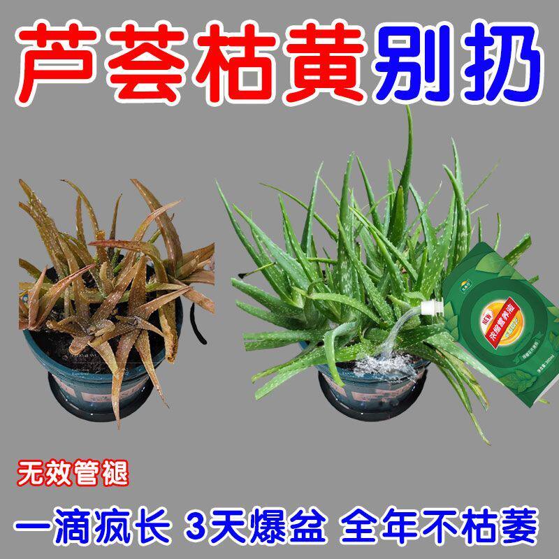 芦荟专用肥营养液芦荟肥料石生花肥营养有机肥室内盆栽花绿植氮肥