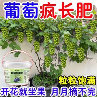 谢谢下单一用猛涨葡萄专用肥缓释颗粒家用肥微量元素葡萄促果增甜
